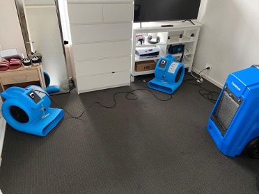 Drying carpet and structure commercial